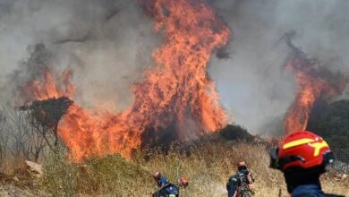 كلاب آلية وطائرات مسيرة: ثورة الذكاء الاصطناعي واتصال 6G في الكشف المبكر عن الحرائق البرية
