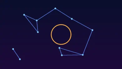 رسم توضيحي لشبكة عصبية مترابطة ترمز إلى نموذج Step 5 من ستيب فن
